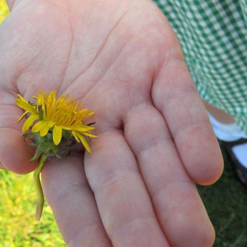 Outdoor Learning